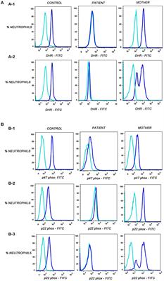 Does Pioglitazone Lead to Neutrophil Extracellular Traps Formation in Chronic Granulomatous Disease Patients?